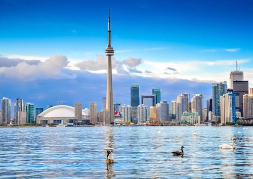 Home Renting Guides Real Estate - Toronto Rental Experts, Team of Licensed REALTORS®